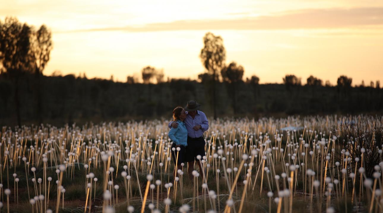 field of light