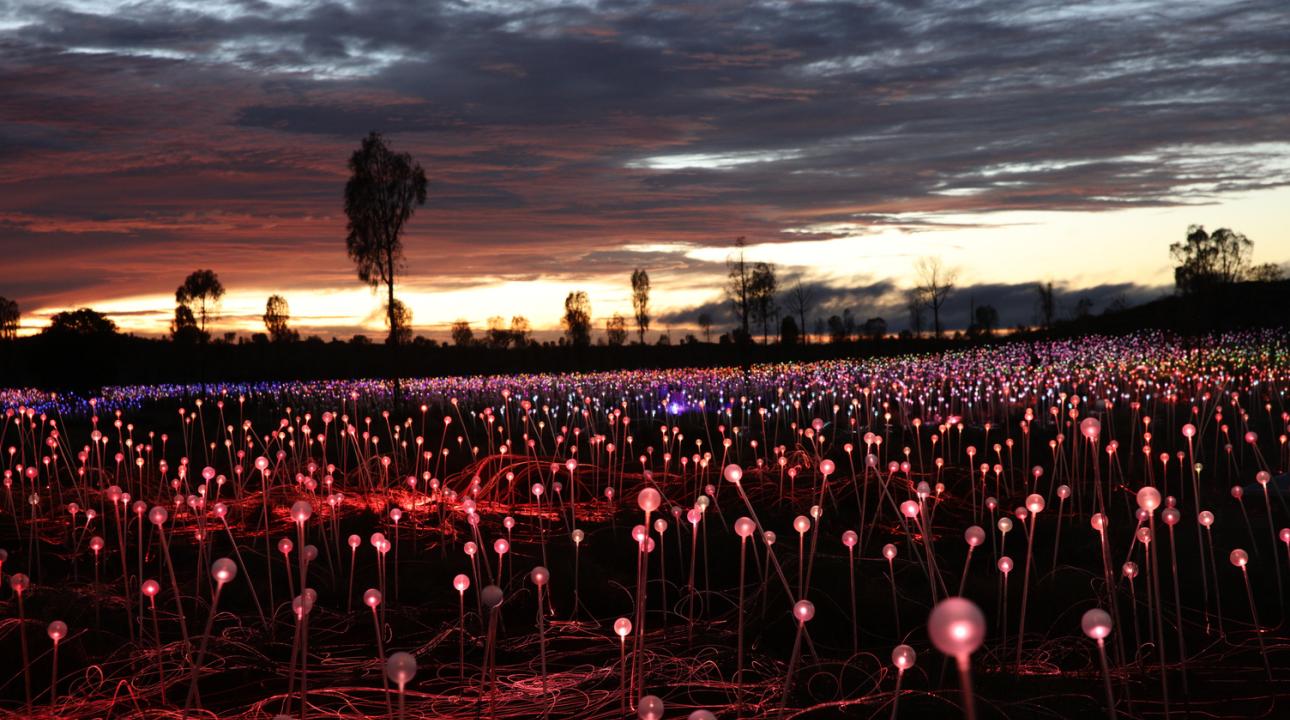 Viewing of Field of Light Star Pass operated by Ayers Rock Resort