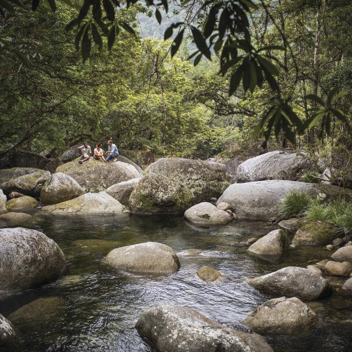 a creek at Mossman Gorge