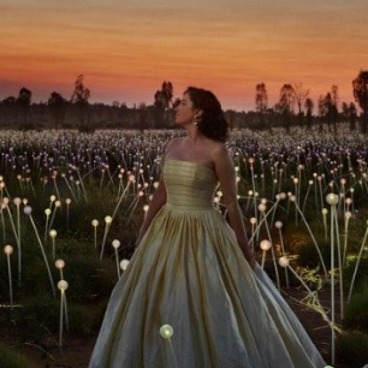 Woman standing in a field of lights