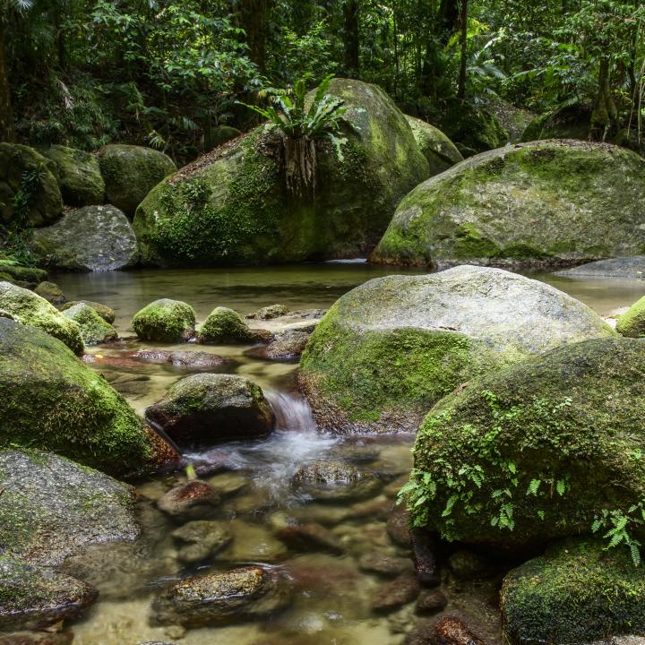 Careers Pages - Mossman Gorge Cultural Centre - Immerse Yourself in the Daintree Rainforest