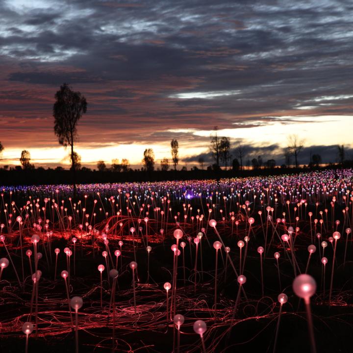 Viewing of Field of Light Star Pass operated by Ayers Rock Resort