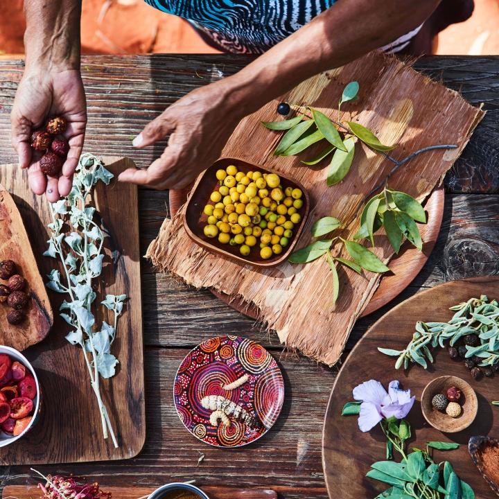 Bush Food Experience with Native Ingredients