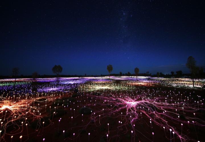 Field of light with starry sky