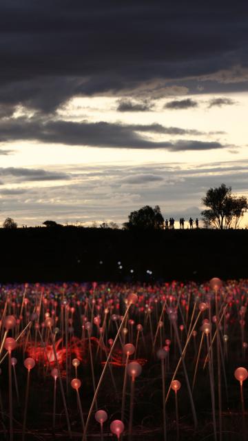 field of light