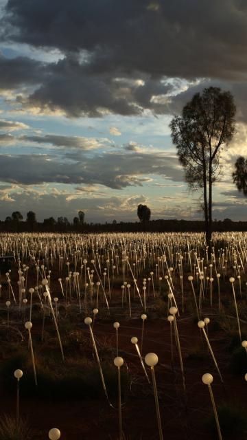 field of light