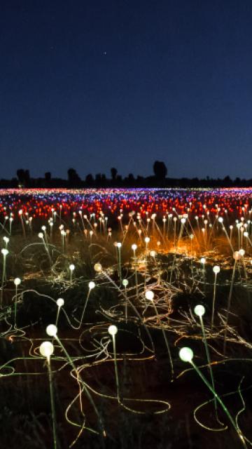 Field of Light