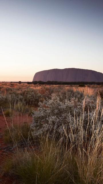 Uluru at Sunrise