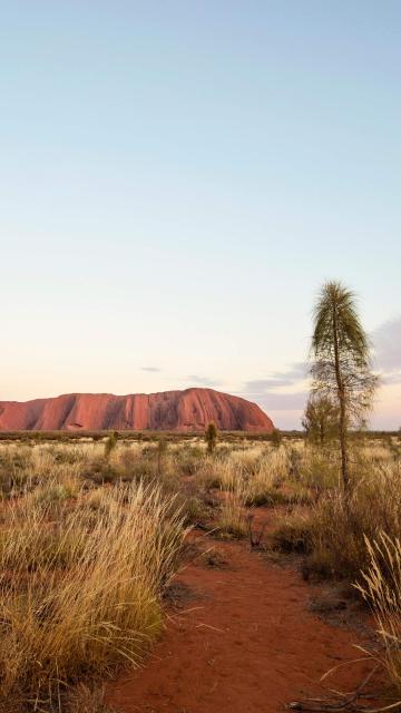 Uluru Sunrise