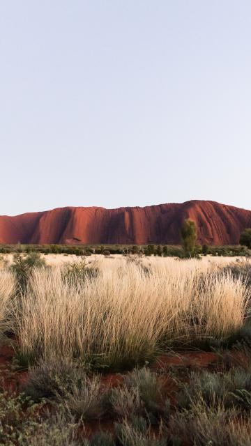 Sunrise over Uluru