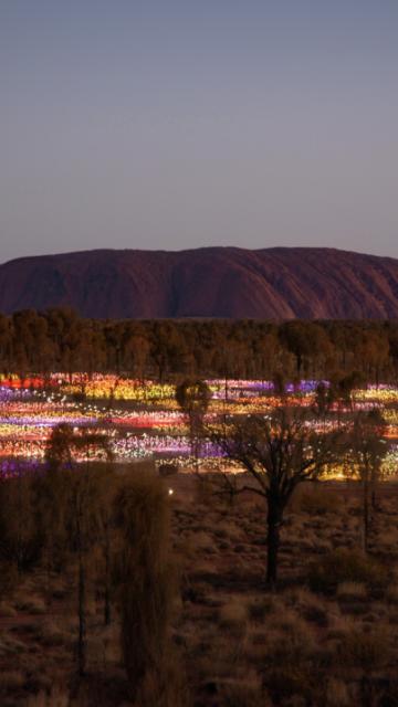 Stay 3 & Save 25% Website Hero